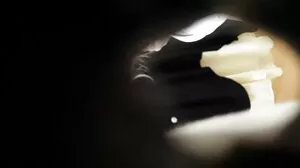 රුසියානු රෙඩ්හෙඩ් පරිණත සුදු කුණු