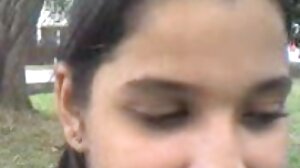 ෆෙස්ටිවල්