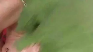 යුරෝපීය මගුල් පොව් කුකුළා