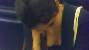 අඩි උස සපත්තු